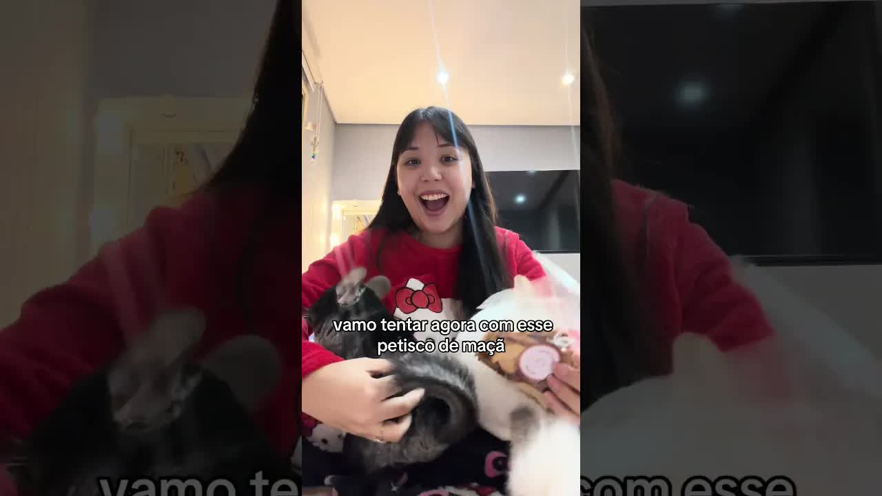 Xinchilas segurando objetos com as patinhas
