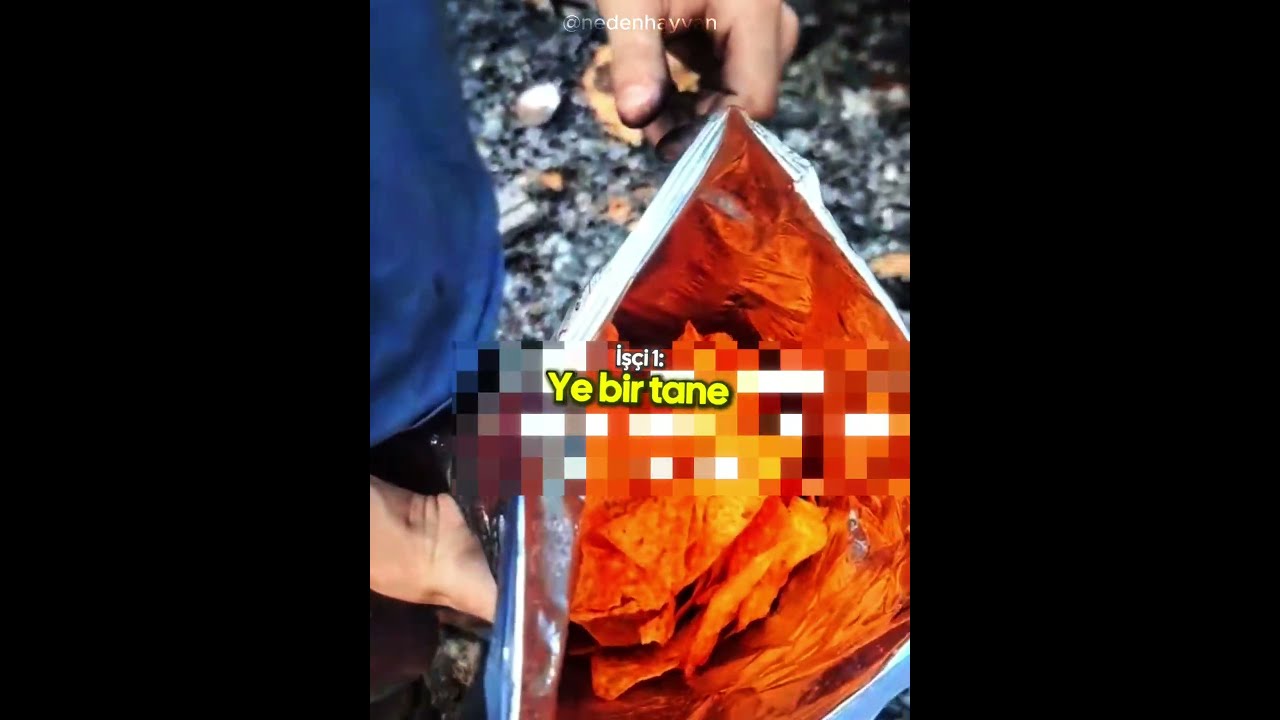 Doritos Paketi Yangından Sağırdı