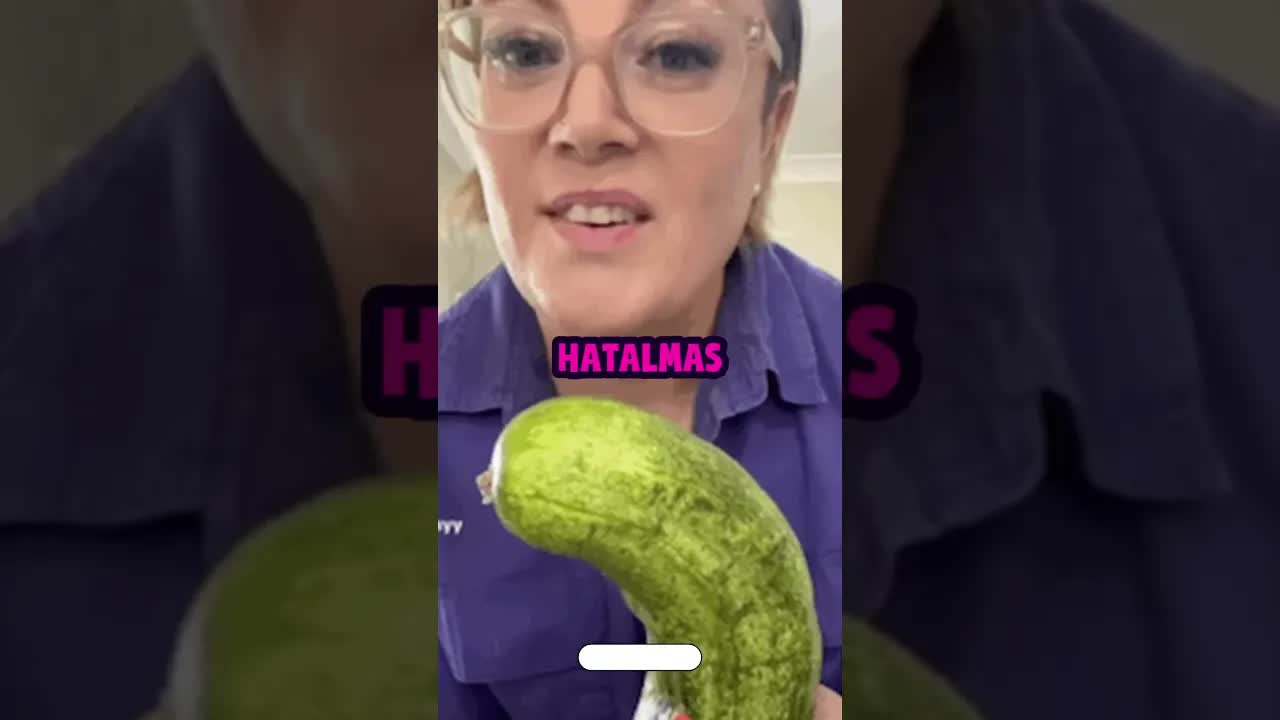 Uborkából készített vonat a cicának