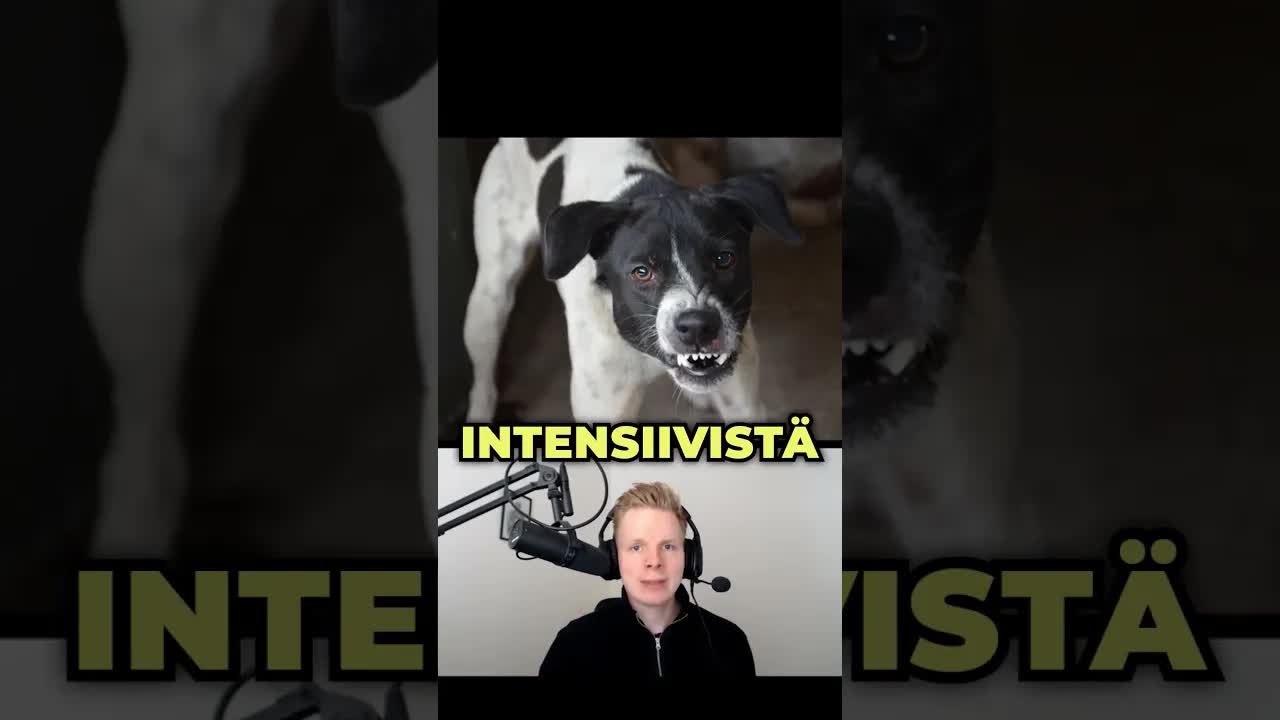 Älä herätä tärisevää nukkuvaa koiraa