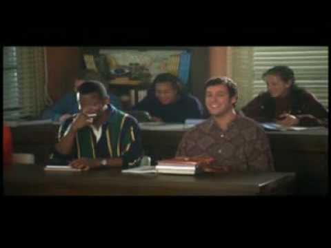 College Class Joke About Alligators And Aggression