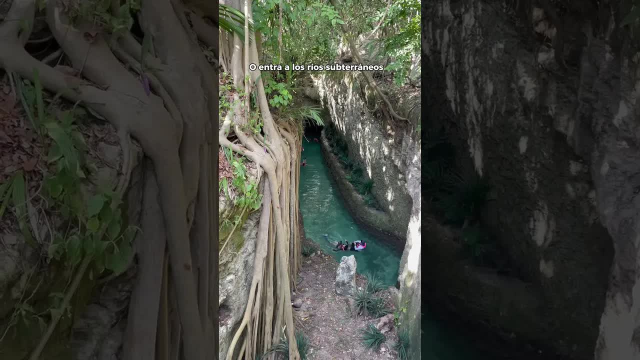 Un día completo en Xcaret, el parque acuático