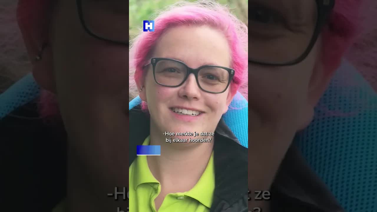 Gewonde zwanenfamilie herenigd na treinongeluk