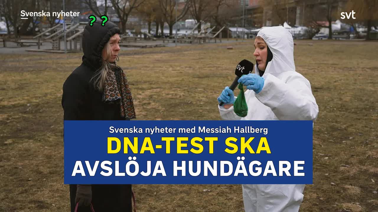 DNA-test för att spåra hundbajs i Malmö