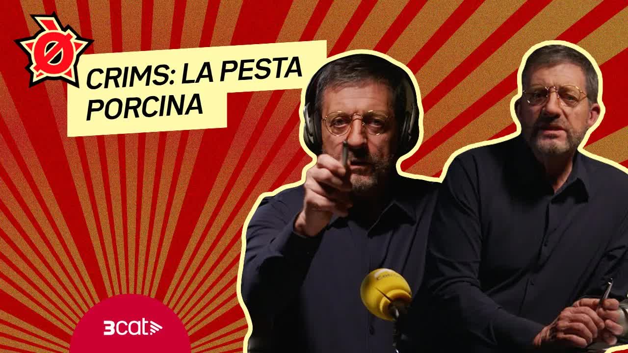 Paròdia de Crims sobre la pesta porcina africana