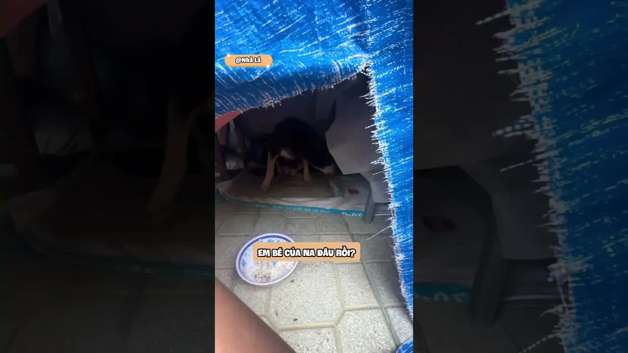 Em bé bị giấu khi mẹ đi chơi