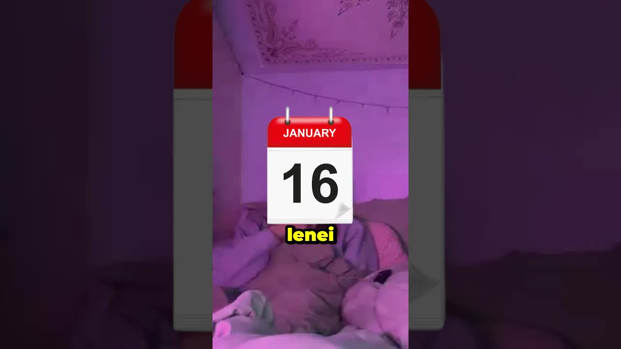 Mâine este ziua leneșilor, ziua de făcut nimic