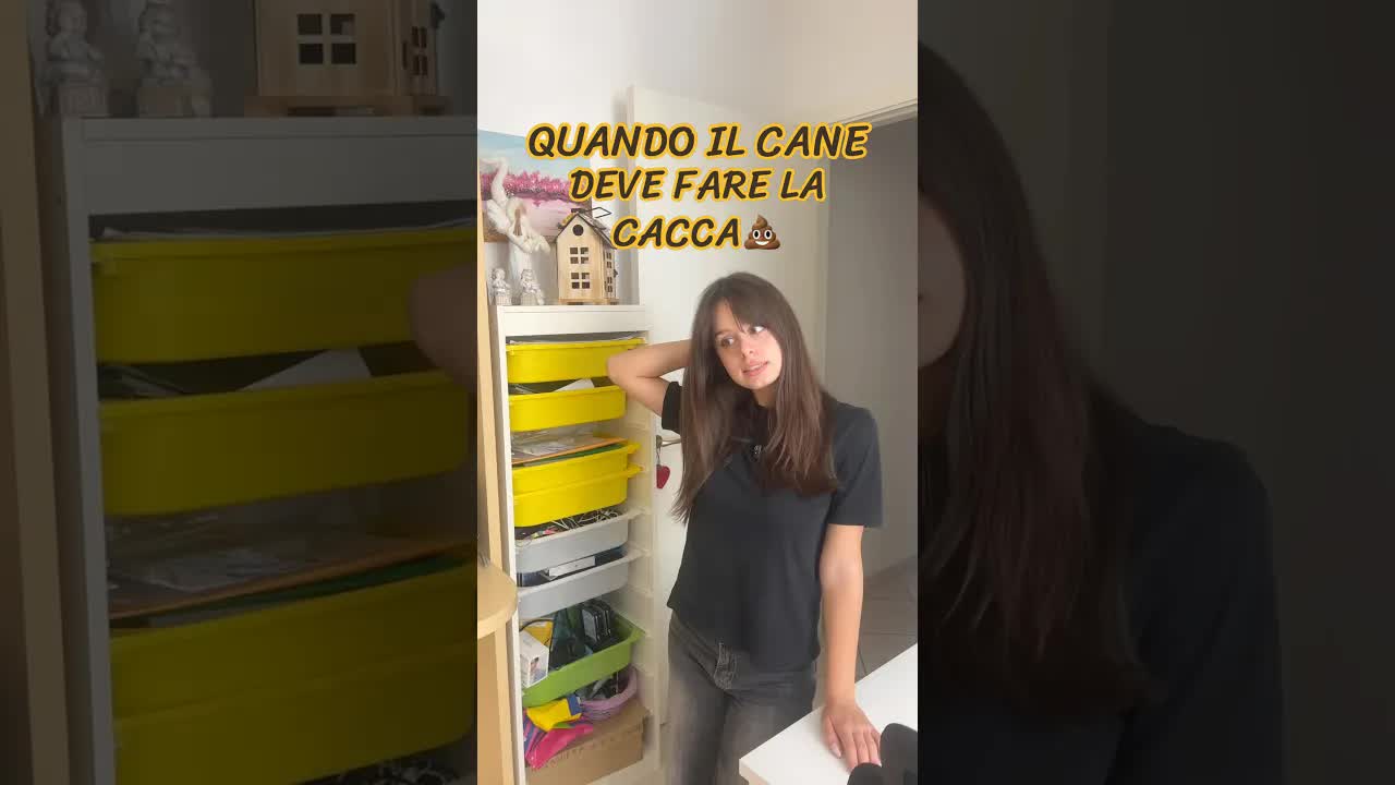 Esci solo se il cane ha fatto la cacca