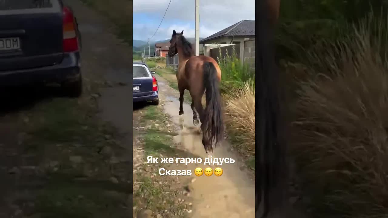 Дідусь про те, де подівся життєвий час
