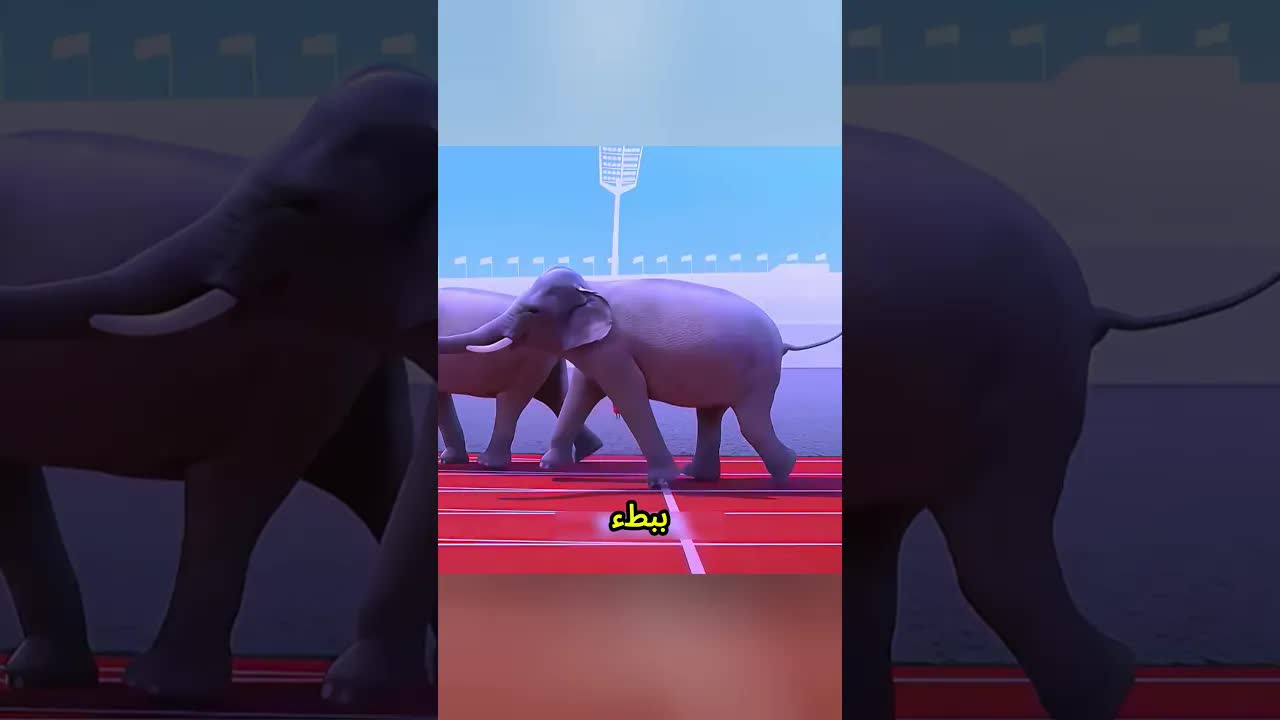 ما فعله الفيلان بالنعامة أبكى الجميع