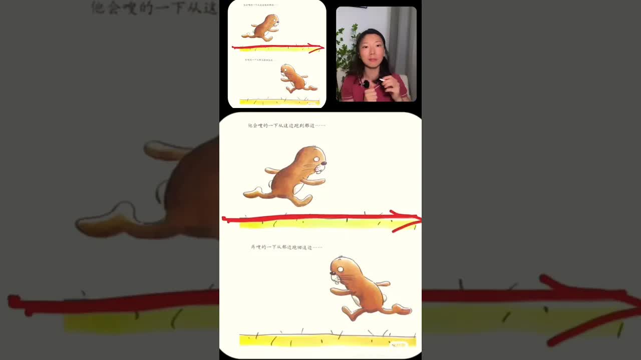这只兔子和别的兔子一样快