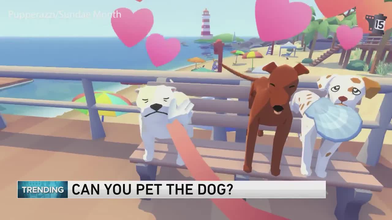 Interview With Creator Of “Can You Pet The Dog?”