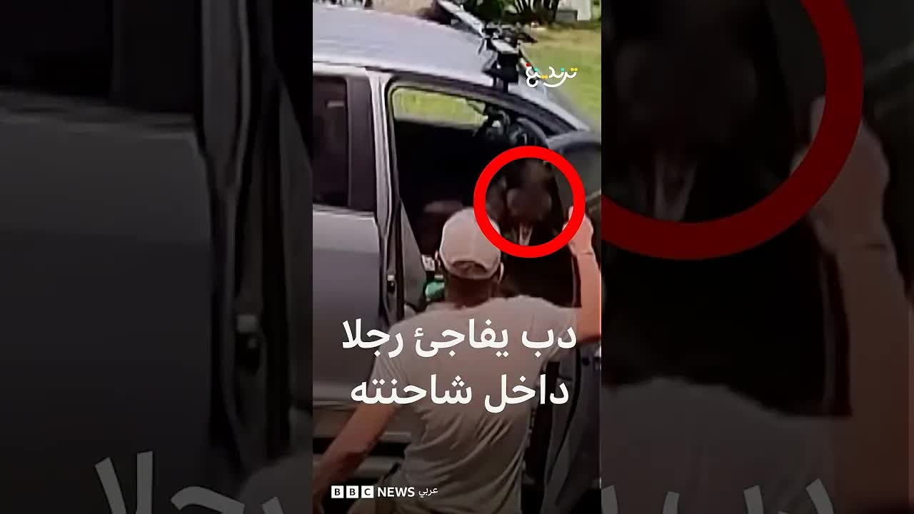رجل يُخرج دبًا من شاحنته في كولورادو