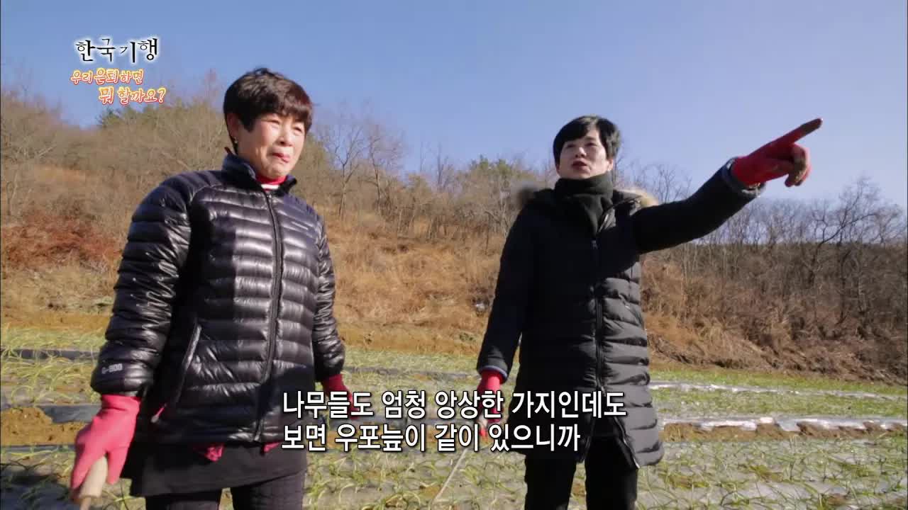 우포늪에서 다시 사는 삶