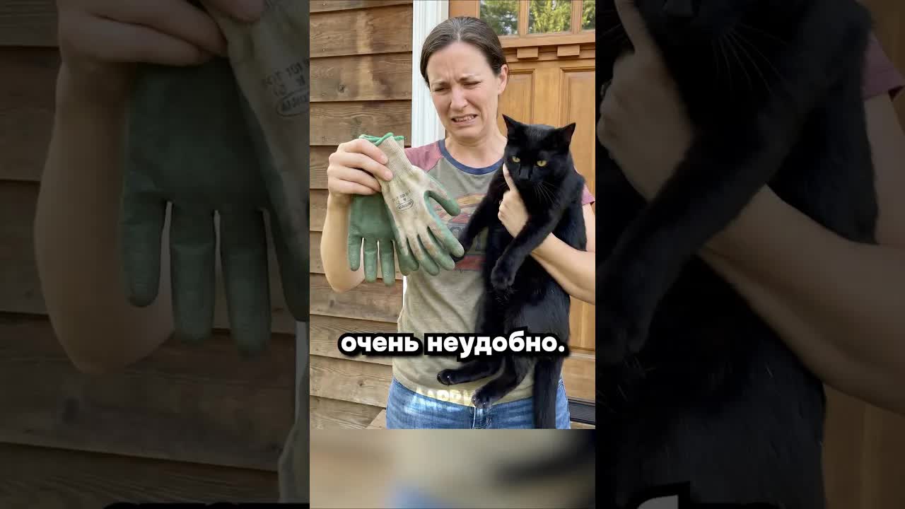 Кошка-воровка перчаток из Орегона