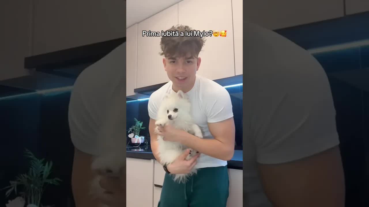 Prima întâlnire între Milo și Atena