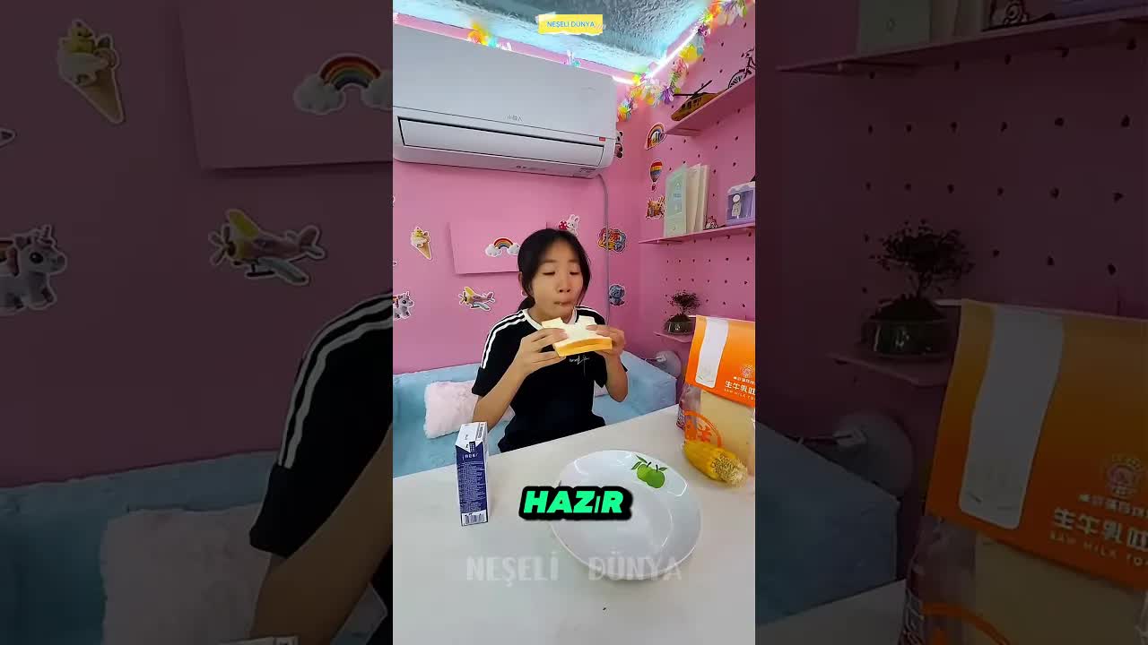 Gizli Oda ve Kaydırağın Olduğu Harika Bir Oda