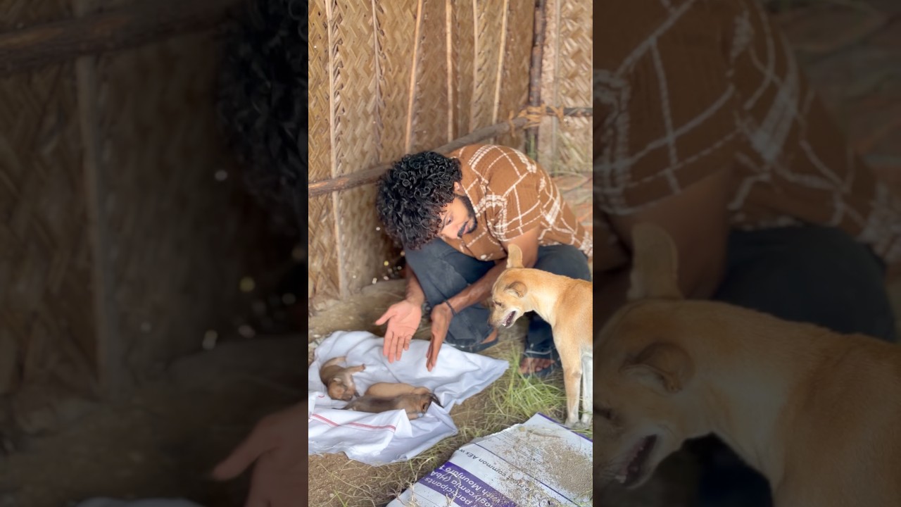 மனிதநேயம் எல்லா உயிர்களுக்கும் அழகு