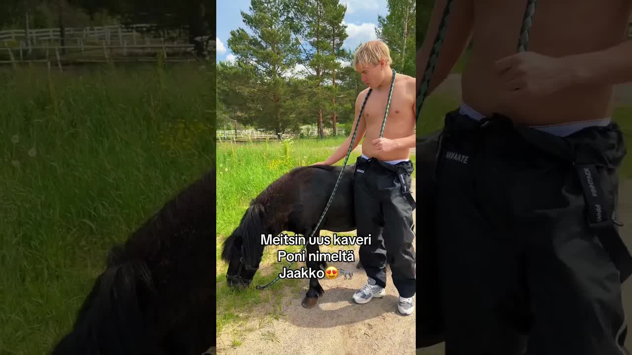 Kesäharrastus: Poni Jaakko