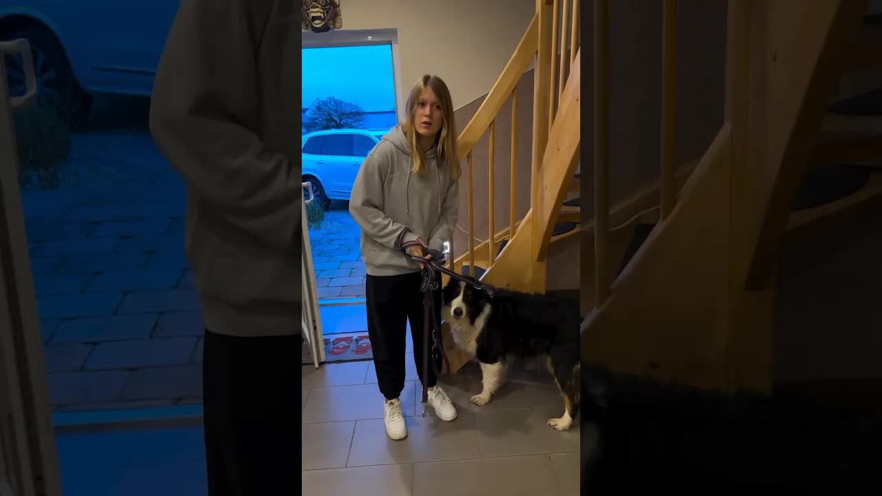 Mama, der Hund läuft ohne Leine