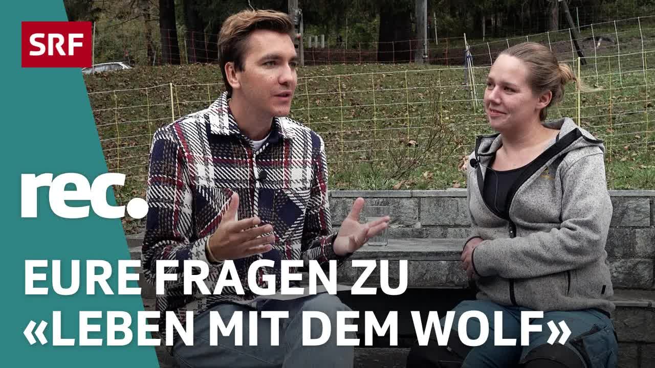 Q&A: Leben mit dem Wolf in der Schweiz