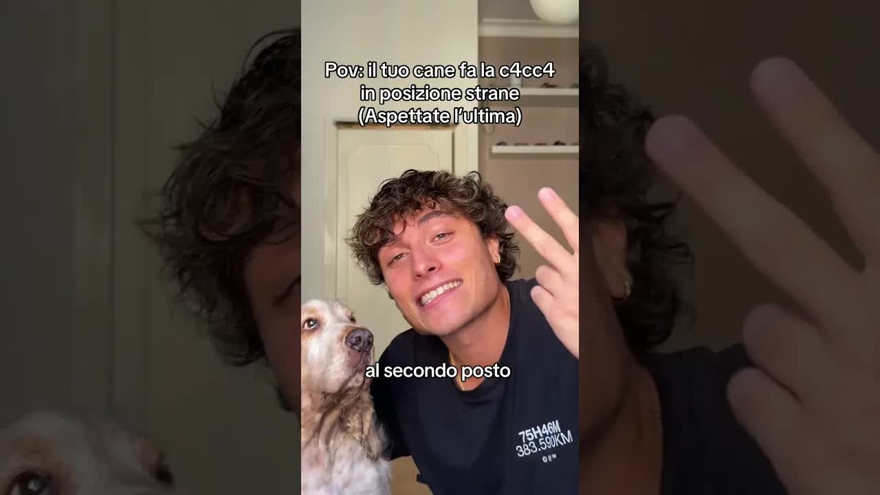 Le posizioni strane del cane Ettore