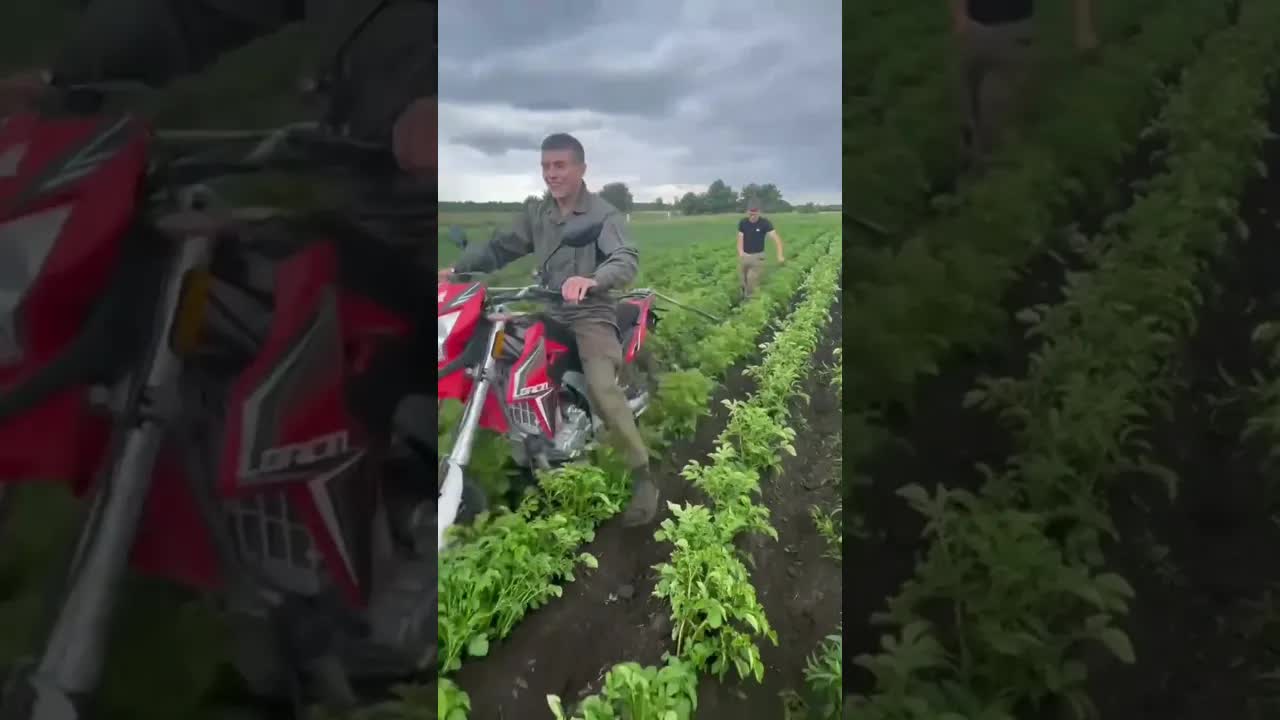 Дівки та гусі: ранок у селі