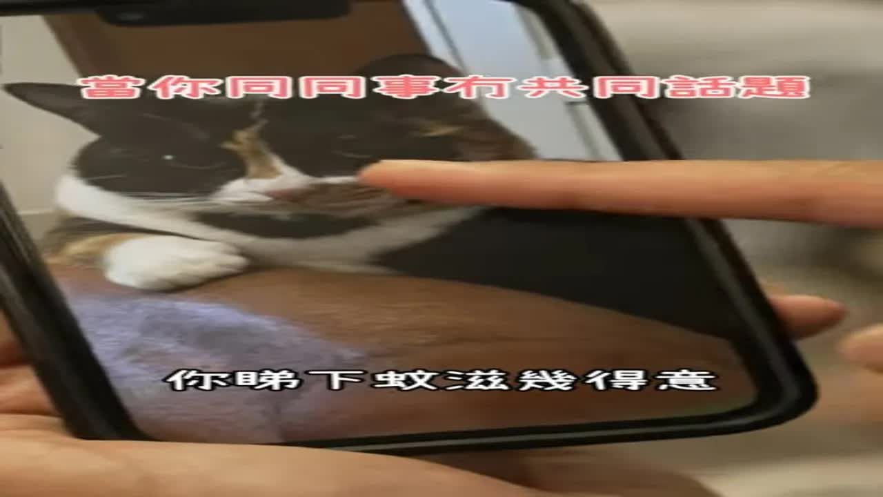 當同事冇共同話題嘅尷尬時刻
