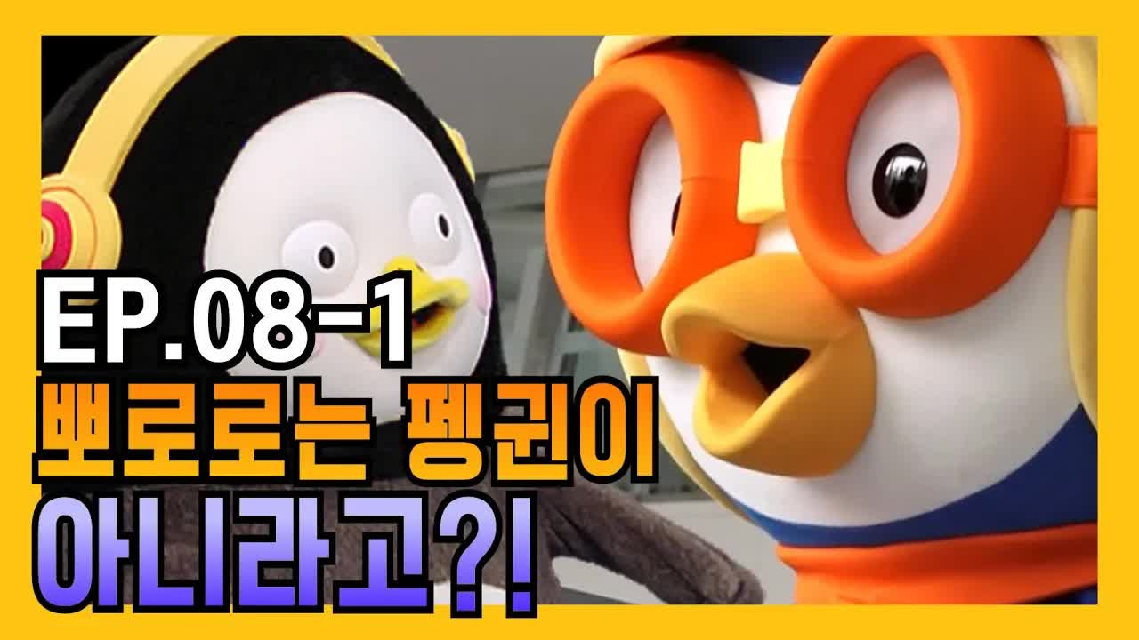 뽀로로는 펭귄이 아니라고? 펭귄 전문가의 답변
