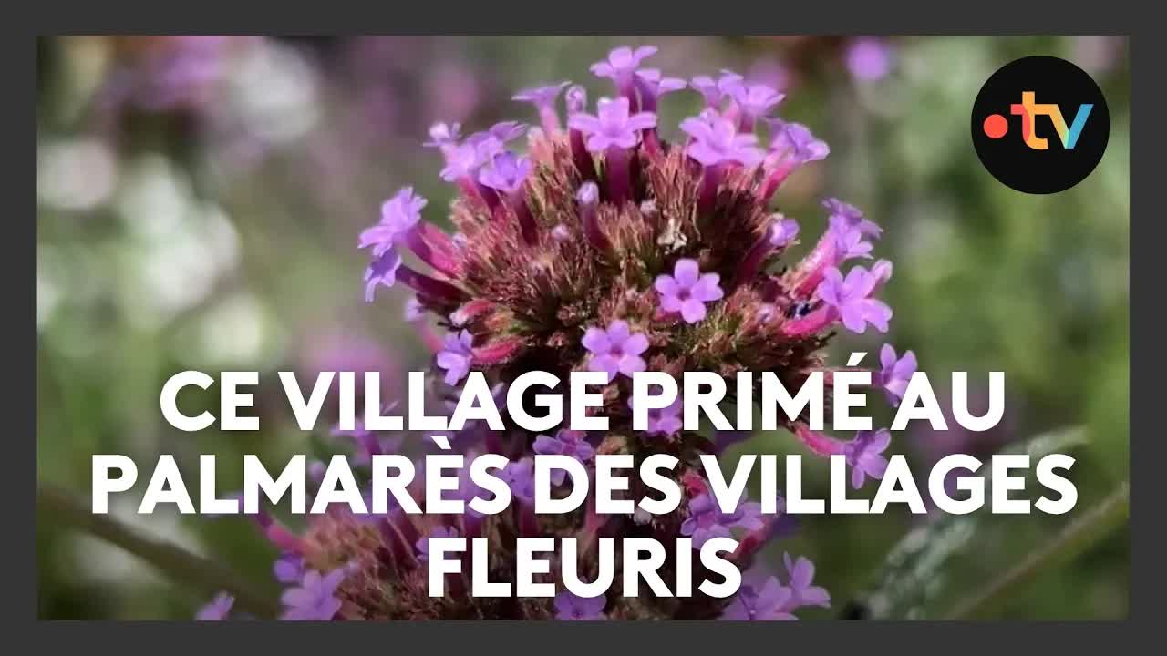 Un village alsacien récompensé pour sa biodiversité