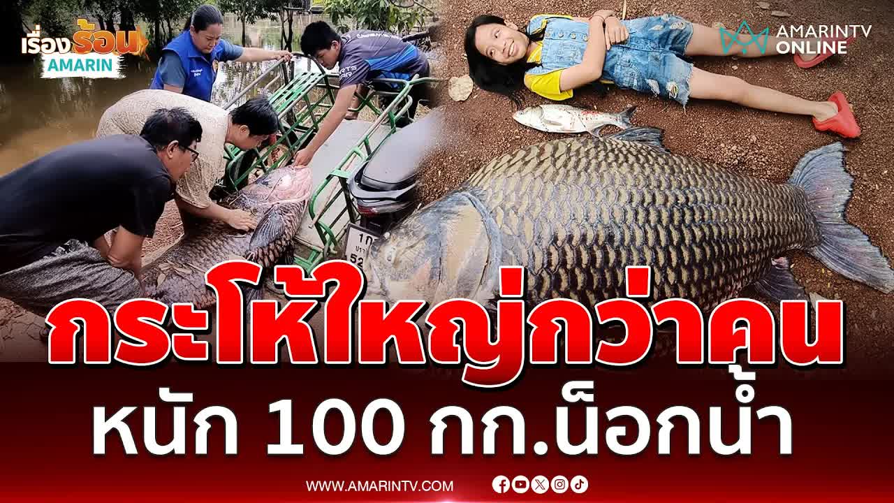 ปลากระโห้ยักษ์น็อกน้ำ น้ำหนัก 100 กิโลฯ