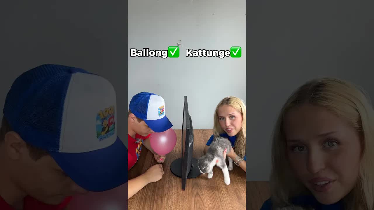 Gissa vad jag har: Kattunge eller ballong?