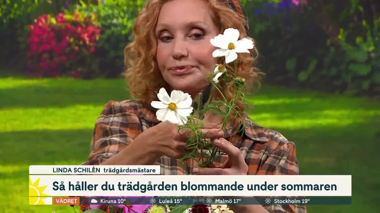 Trädgårdstips för juli med Linda Schillén