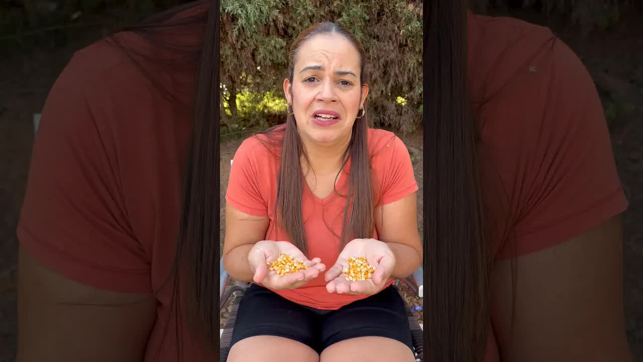 A mamãe só queria pipoca