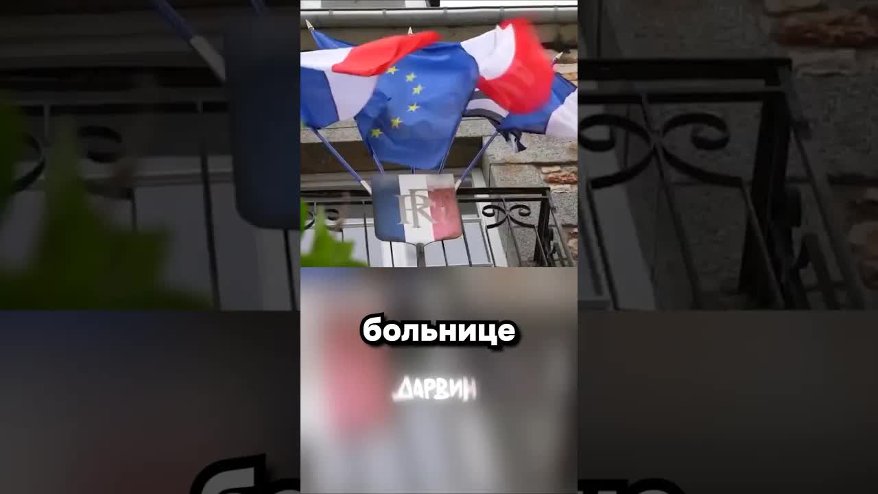 Абсурдные французские запреты на лампочки и животных