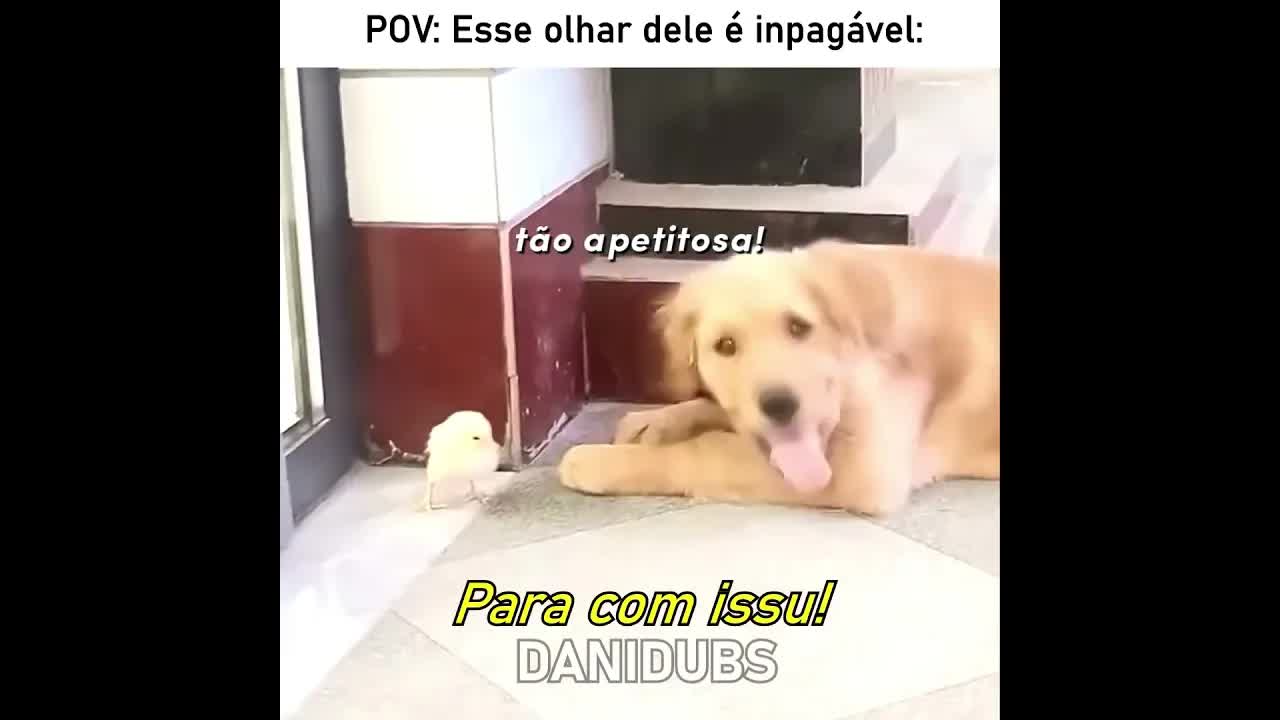 Essa bolinha amarela tá me tentando