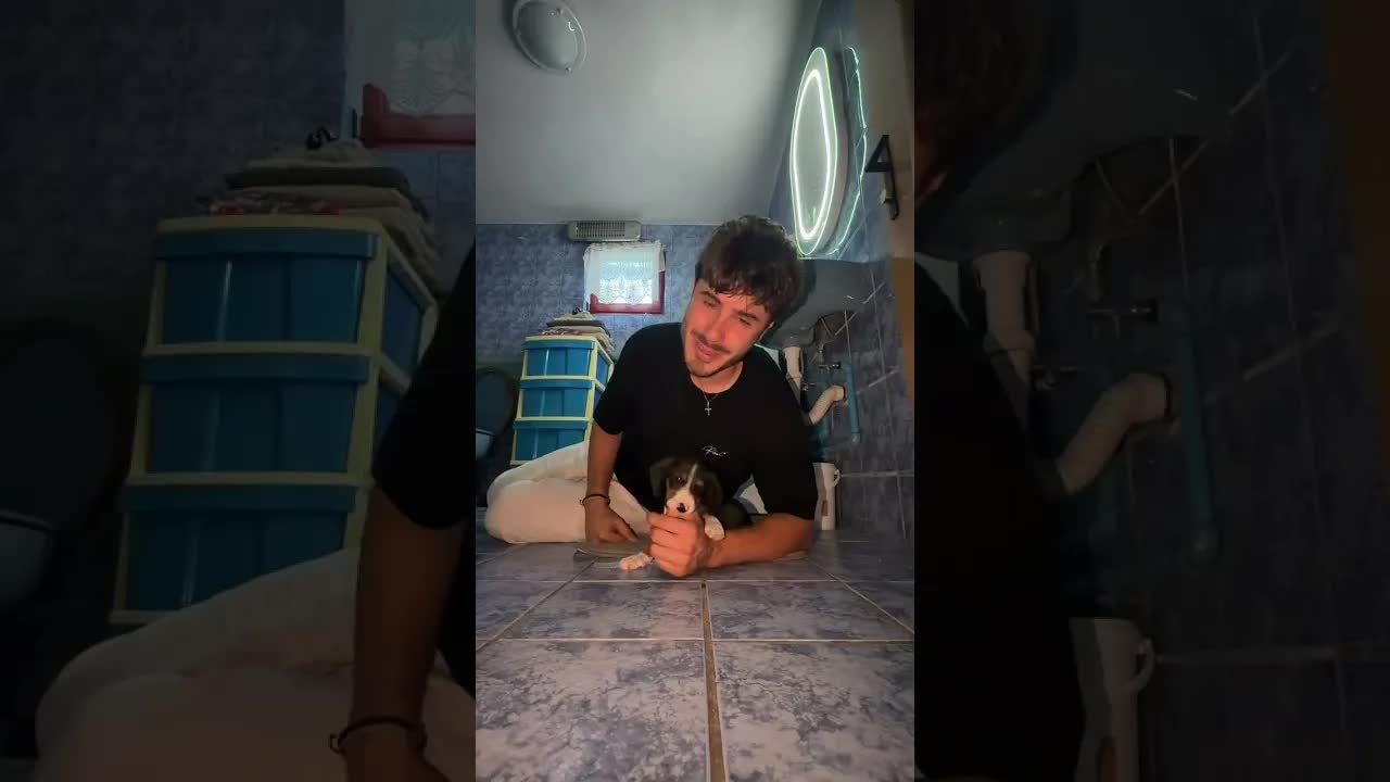 Ein neuer Hund im Badezimmer: Rasieren und Duschen