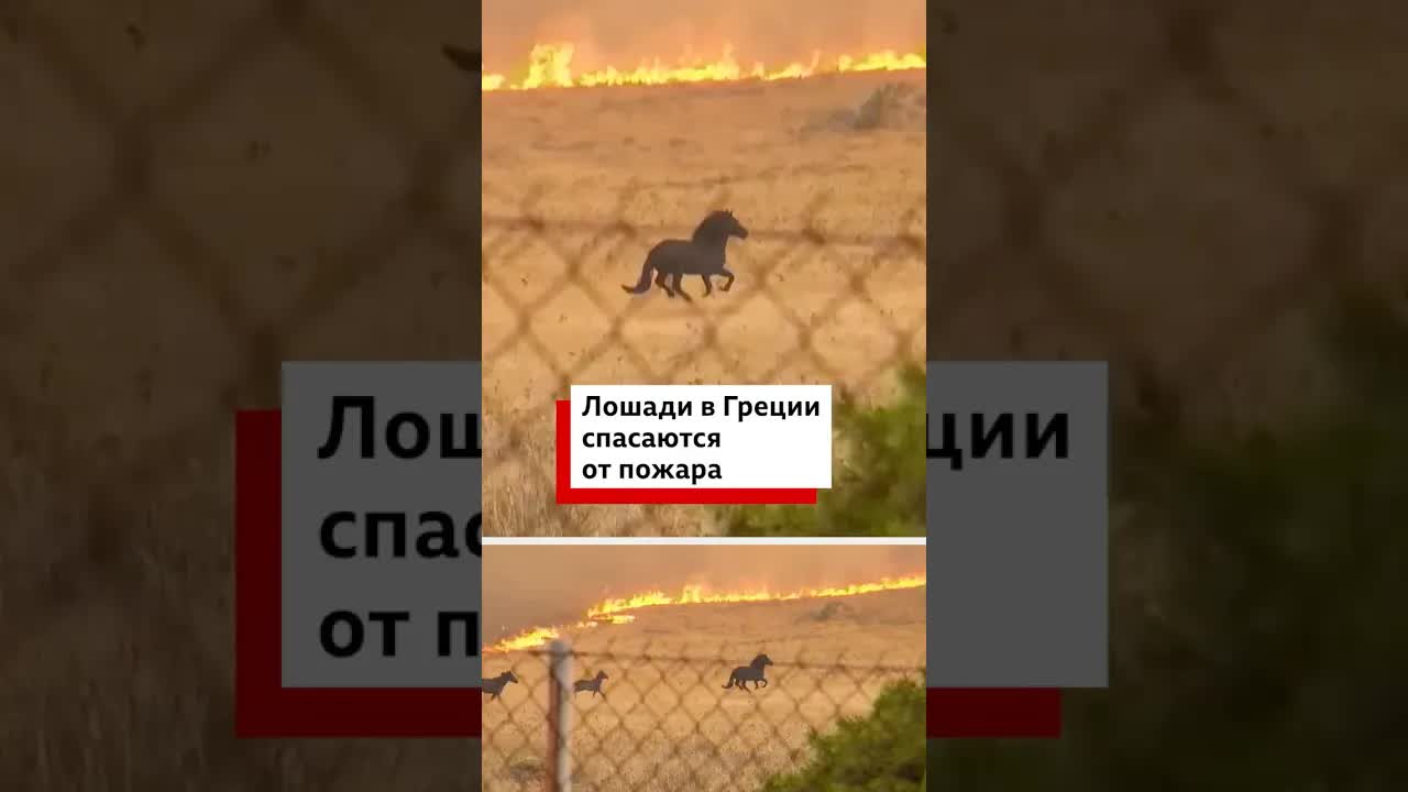 Πυροσβεστικά οχήματα σε πυρκαγιά με οικογένεια