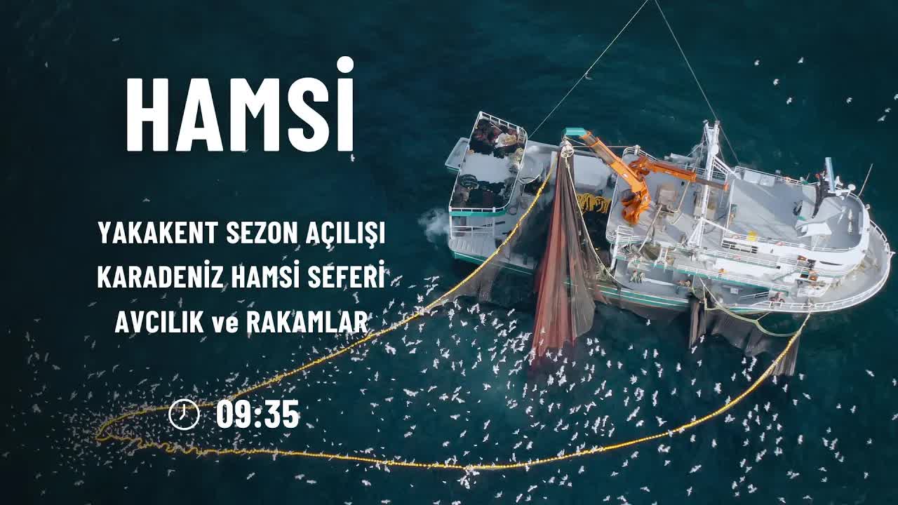 Karadeniz Hamsi Sezonu ve Balıkçılık