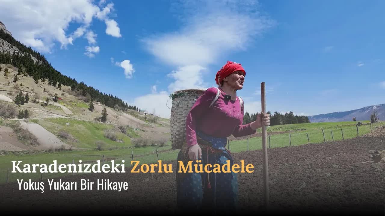 Karadeniz Yaylalarında Kadınların Sert Hayatı