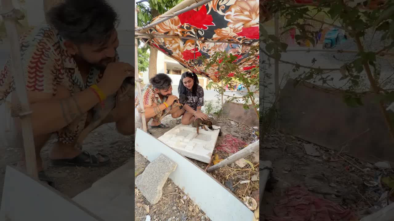 Cute Puppies Ke Liye Ghar Banaya