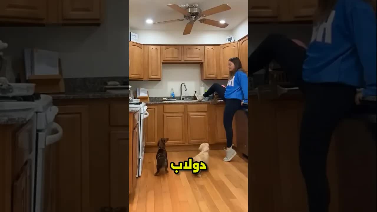 الكلاب نبحت على الدولاب... فاكتشفوا شيئًا صادمًا!