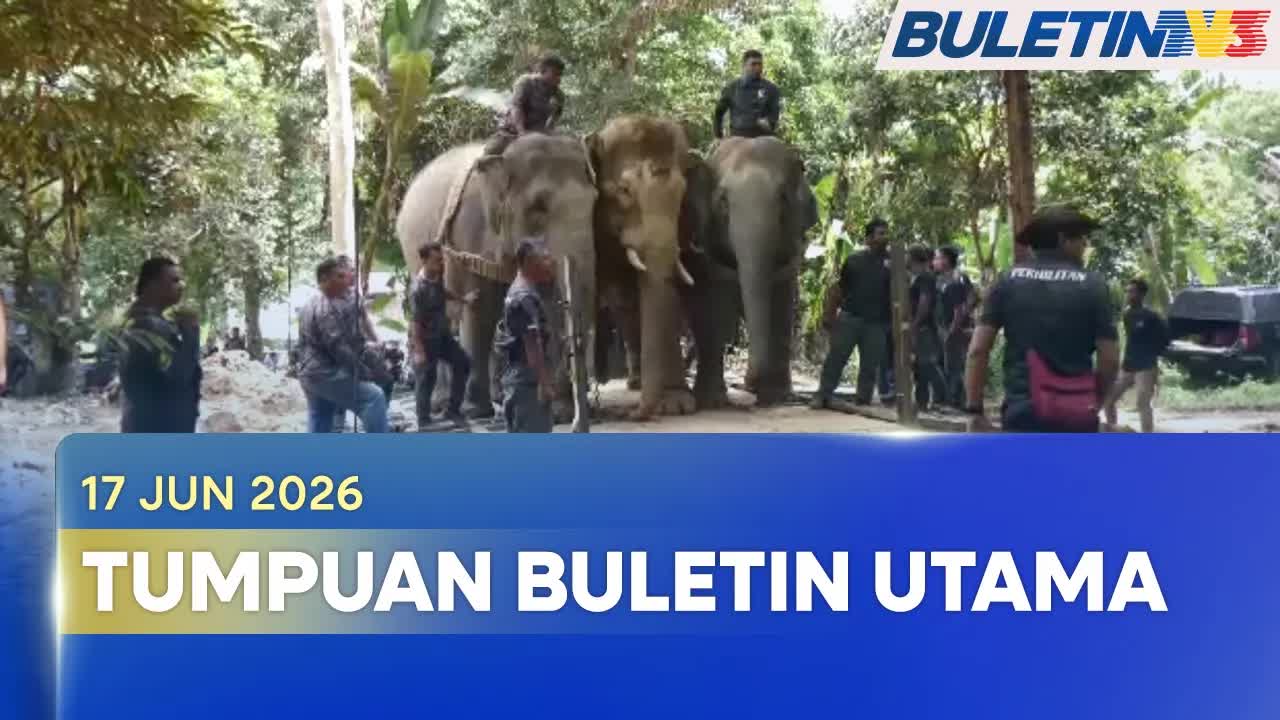 Berita Utama: Penderaan Kewangan Warga Emas & Gajah Liar
