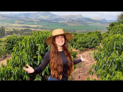Visita ao Cafezal do Tio Toninho e Histórias Rurais