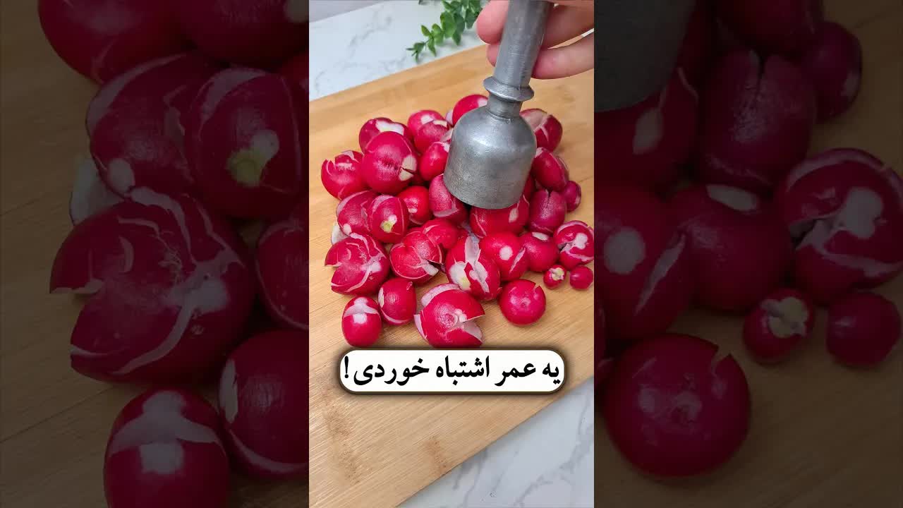 طرز تهیه تربچه با رب انار و سبزیجات خشک