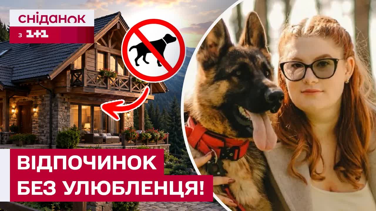 Інцидент у готелі: відмова з собакою та поради юриста