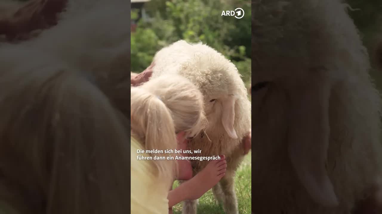 Ein inklusiver Bauernhof für kranke Kinder und ihre Familien