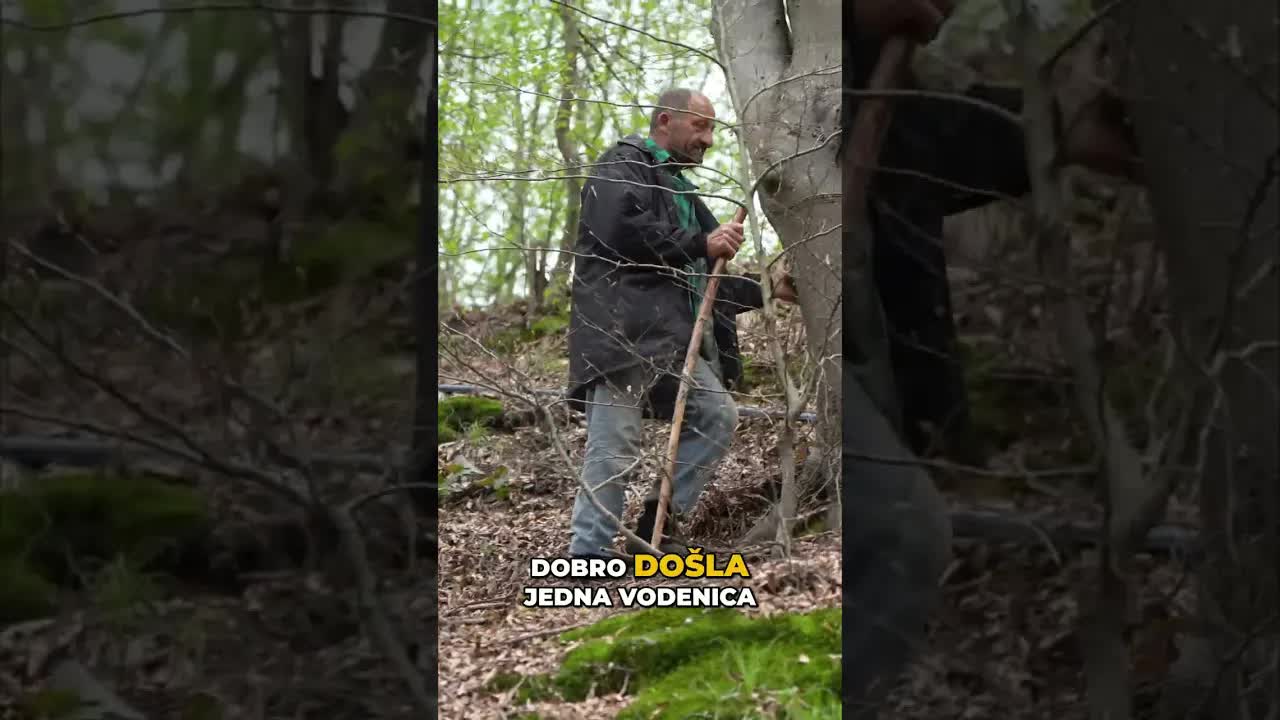 San o vodenici i čuvanje koza