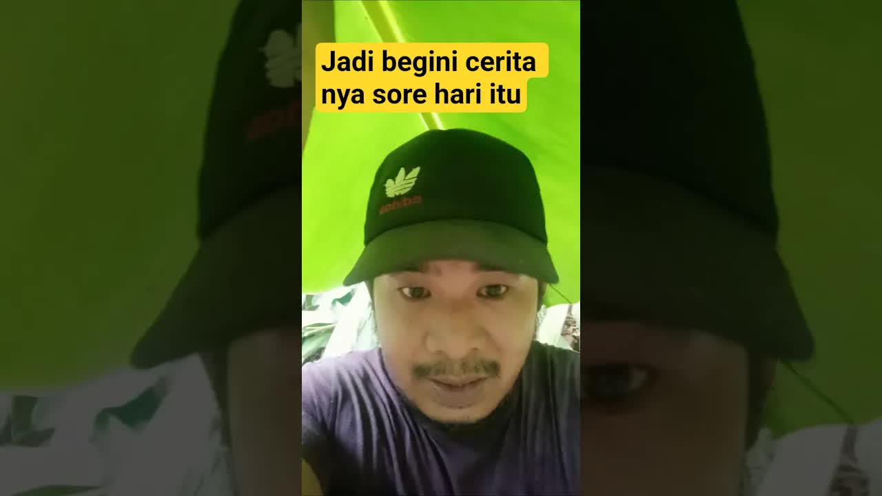 Sore hujan di hutan dan cerita hari kedua
