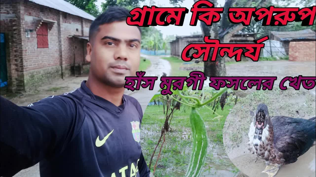 বর্ষায় ফসলের মাঠ ও গ্রাম বাংলার জীবন বৈচিত্র